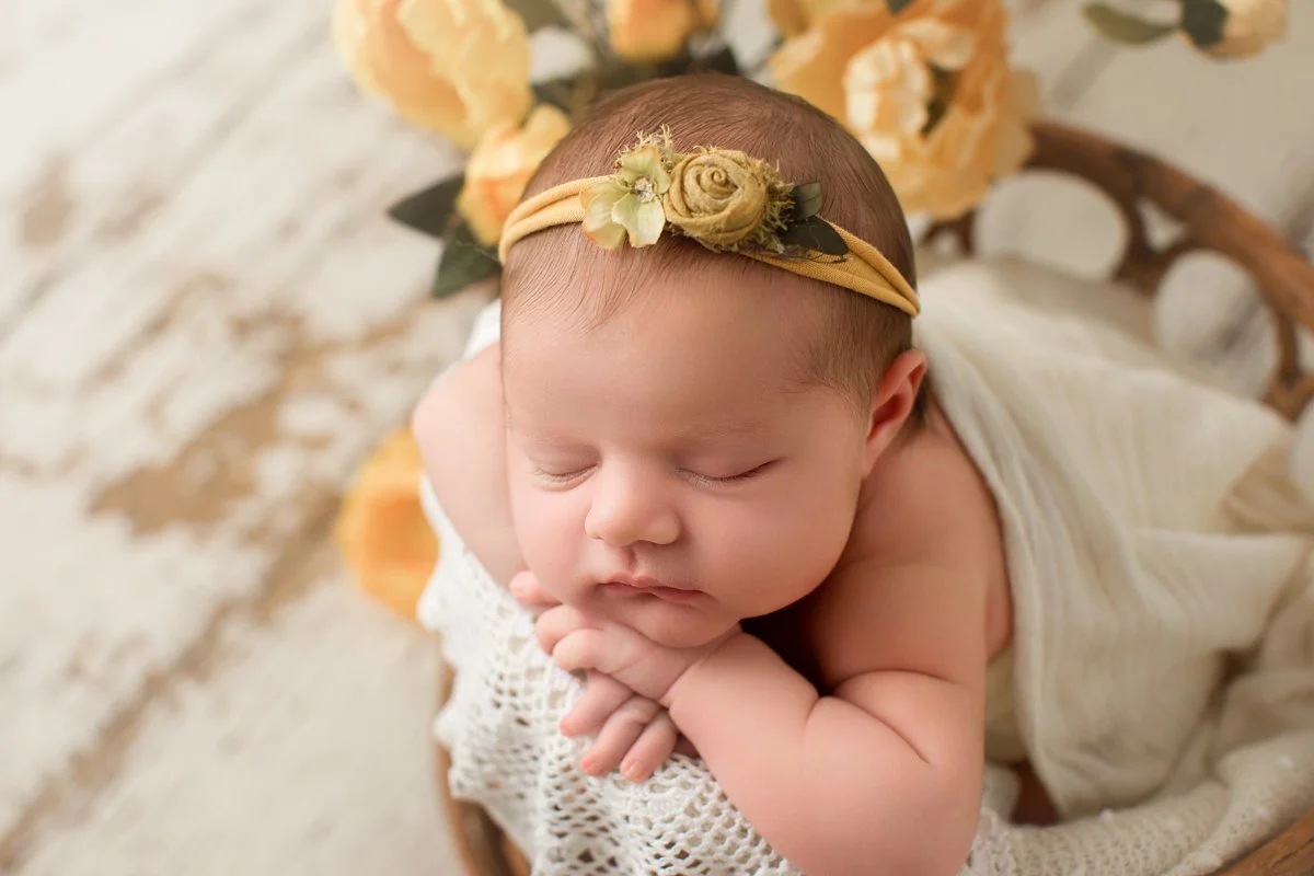 3 white 3378_Ollie_family_49.jpg