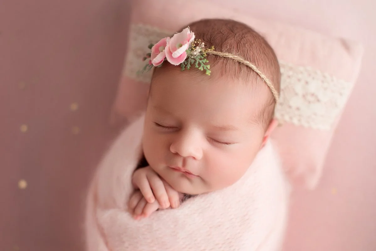 7 pink 3378_Ollie_family_31.jpg