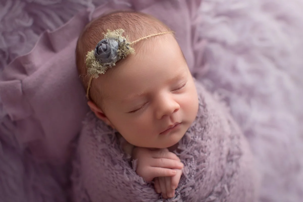 8 purple 3378_Ollie_family_18.jpg