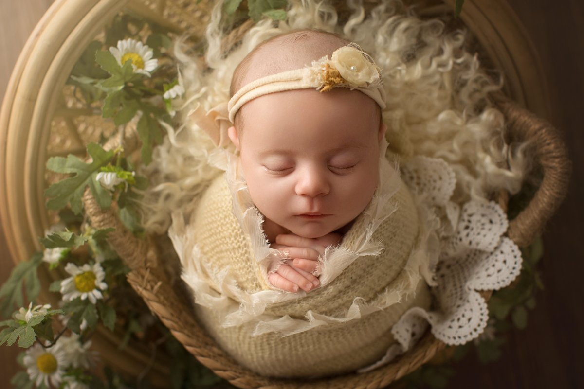 11 yellow -3391_Francesca_family_57.jpg