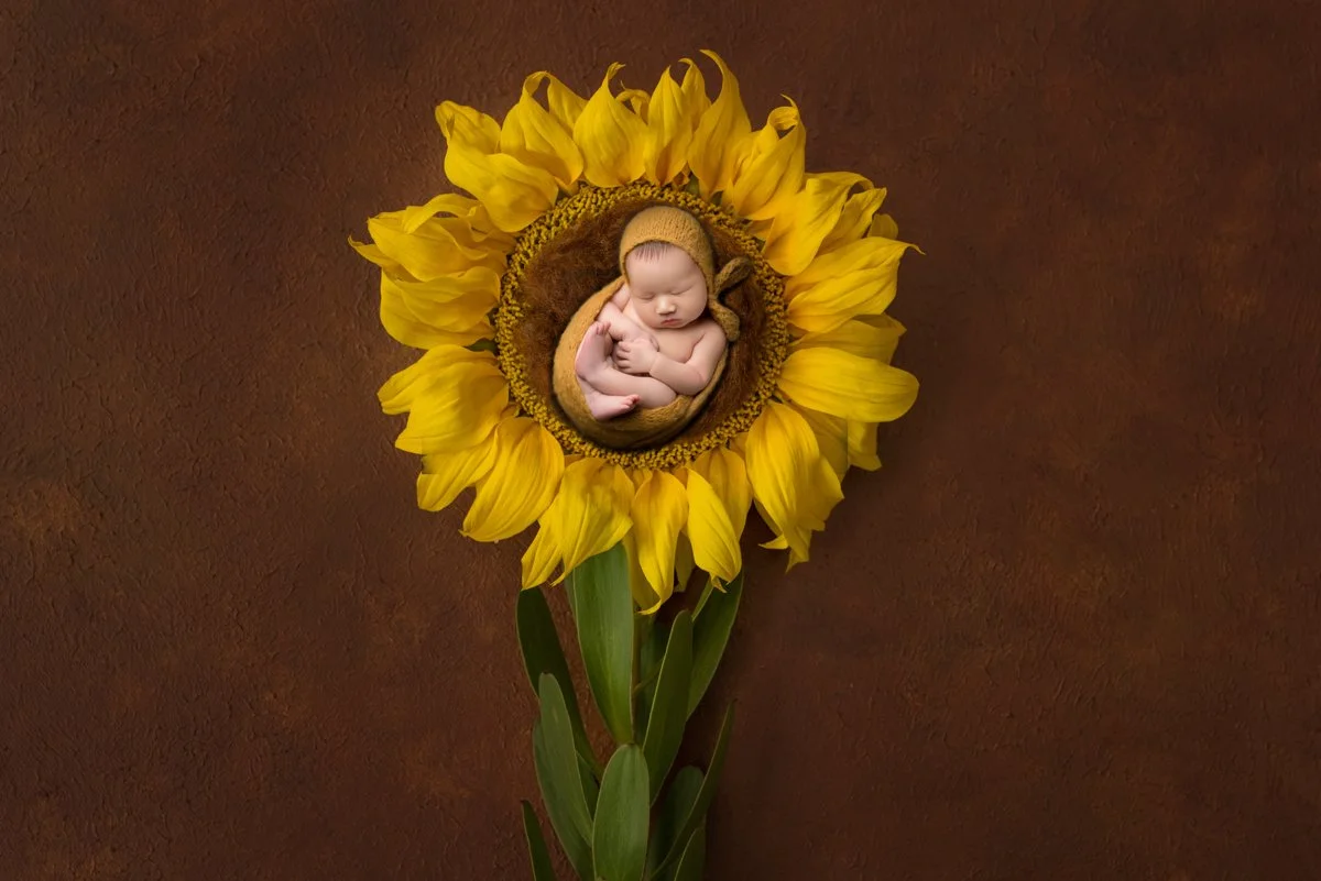 newborn_composite_ (2).jpg