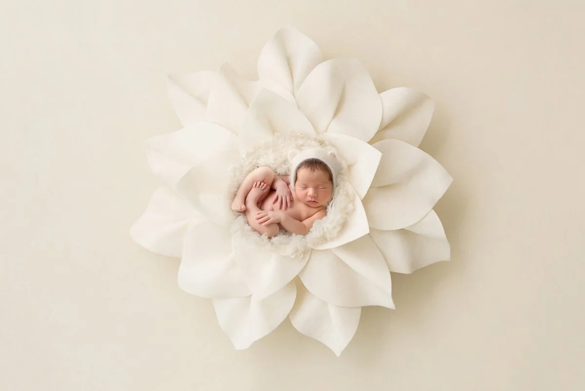 newborn_composite_ (125).jpg