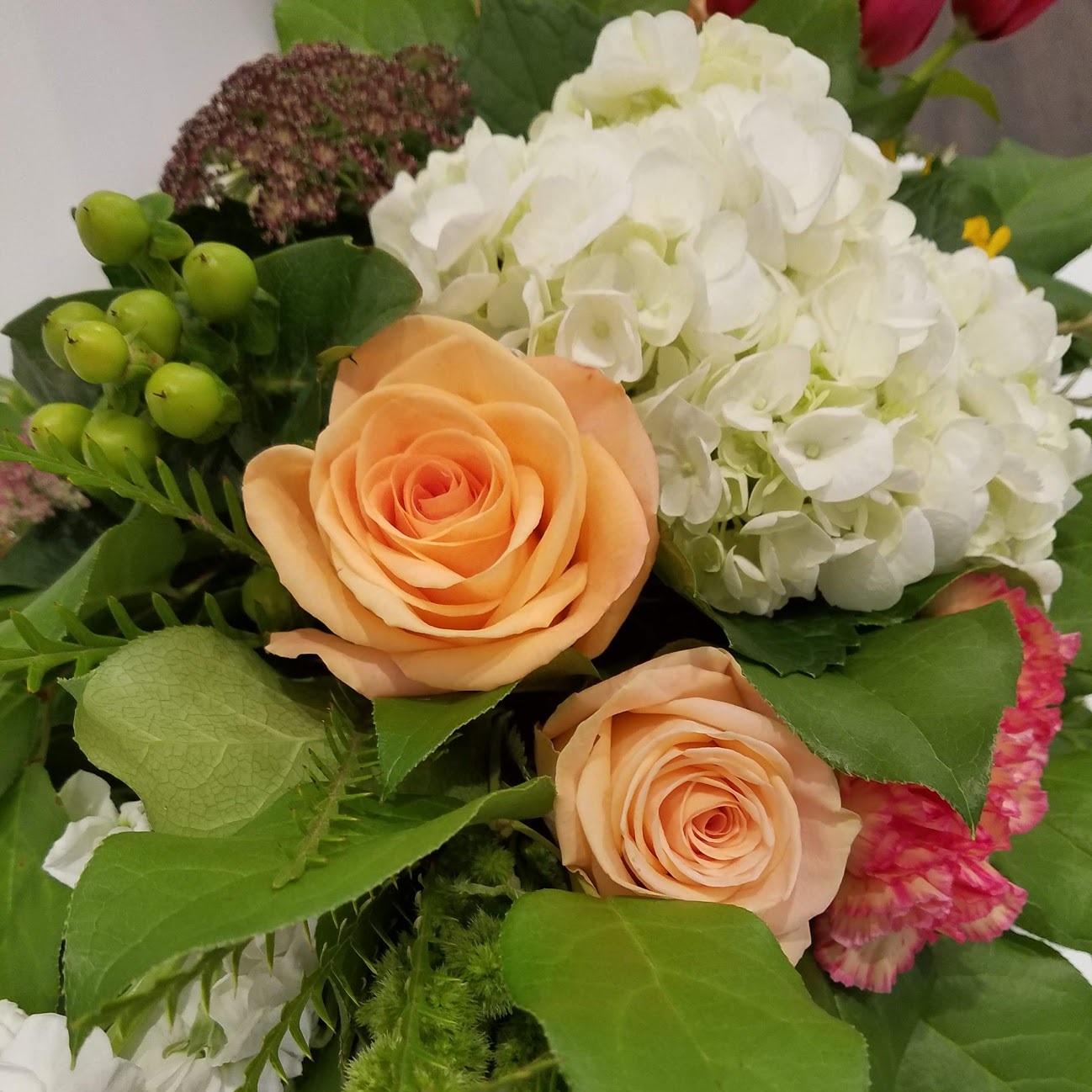 20180927_185649.jpg