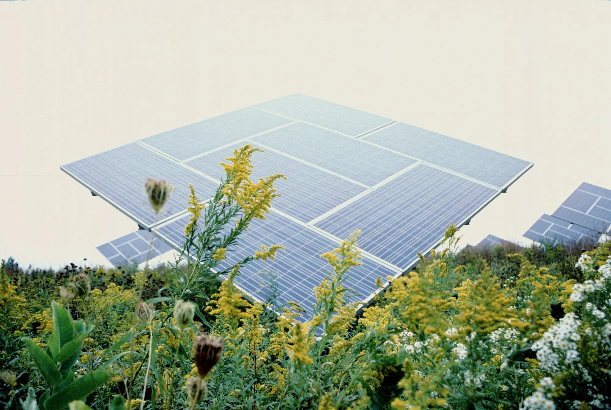 SolarPanels.jpeg