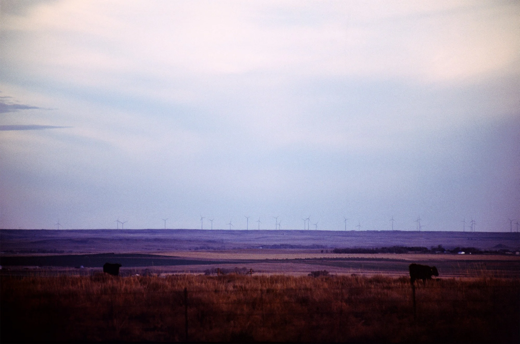 ColoradoWind.jpeg