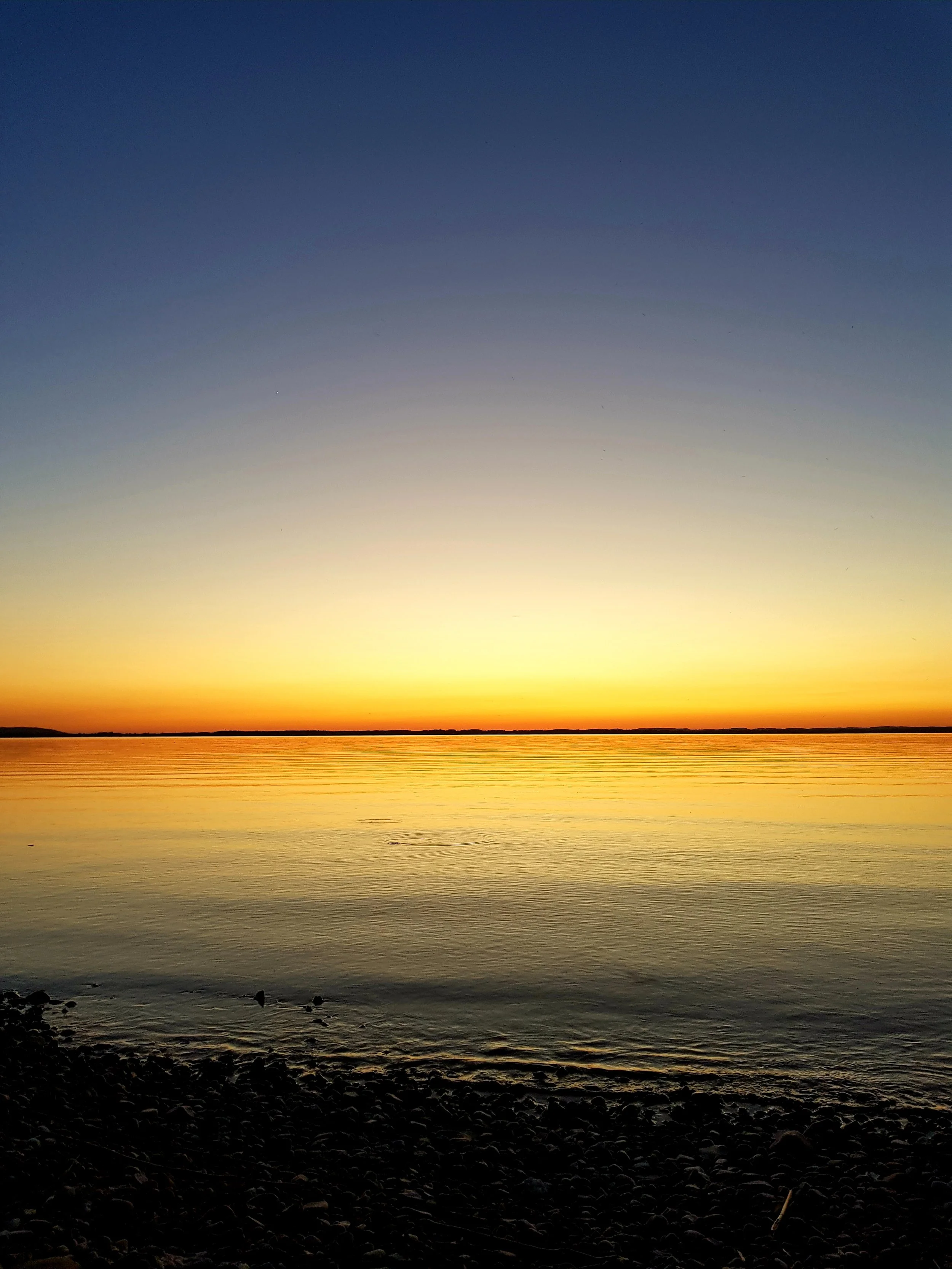 20180507_141906.jpg