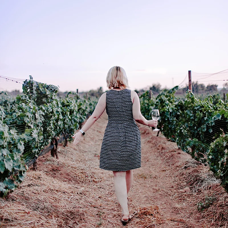 penedes wine tour.jpg