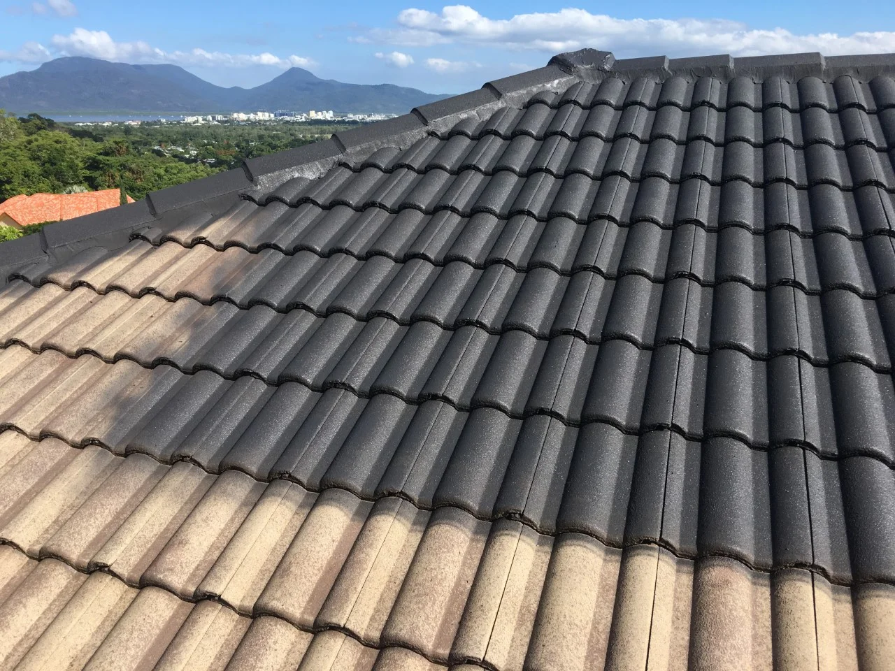 thumbnail_ROOF PAINT 1.jpg