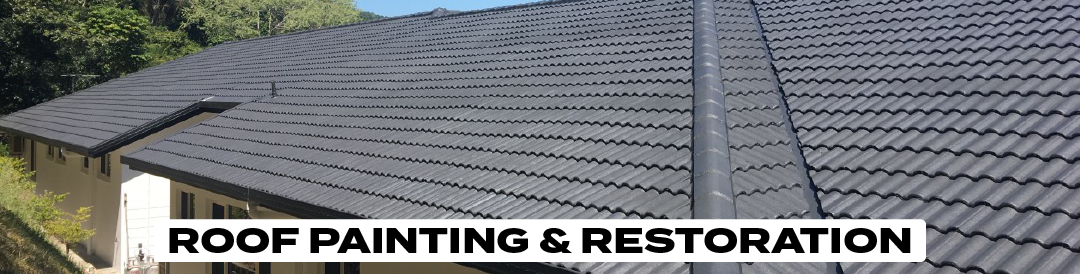 Roof Painting2-01.png