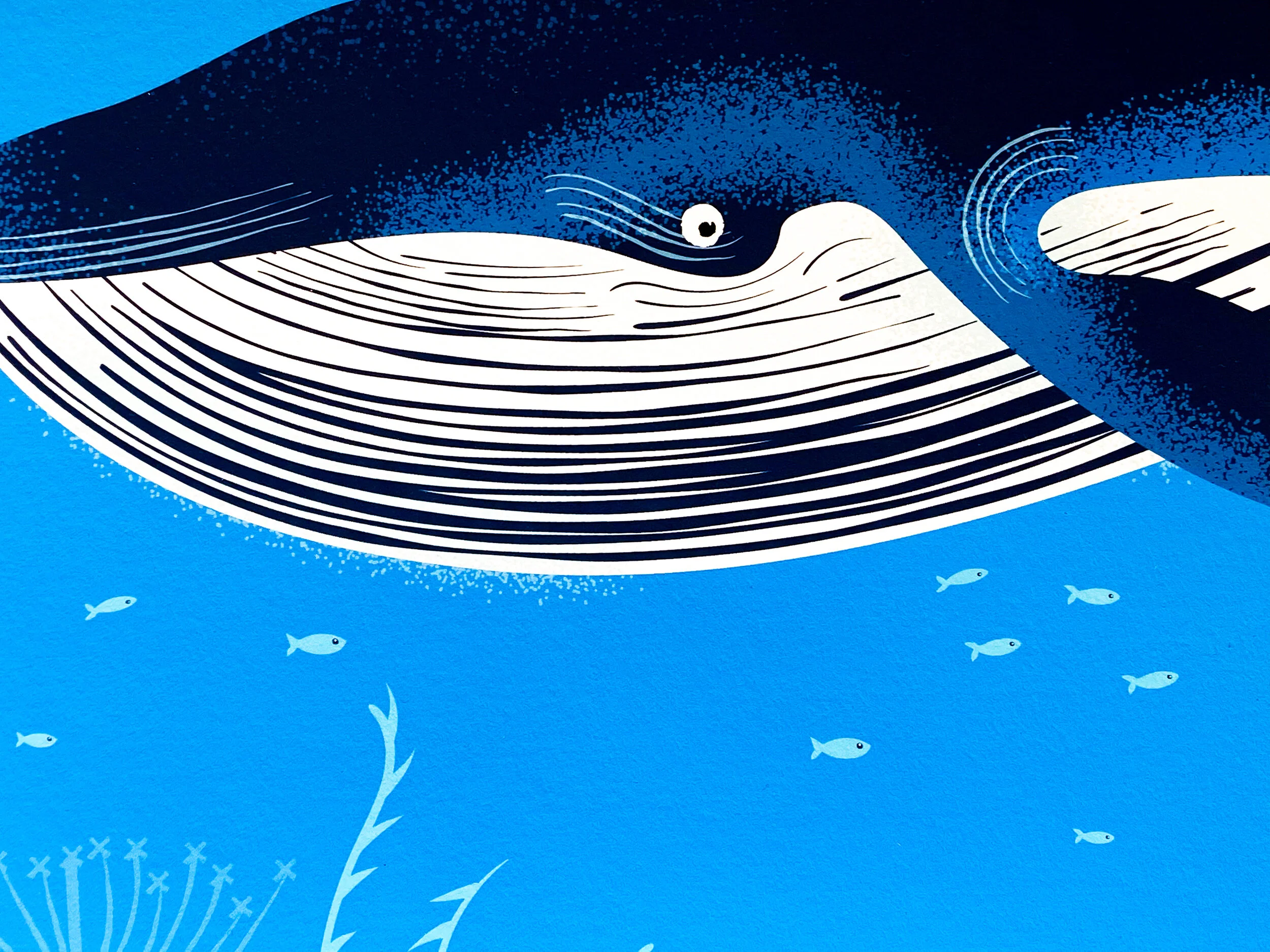 max_mumma_whale.jpg