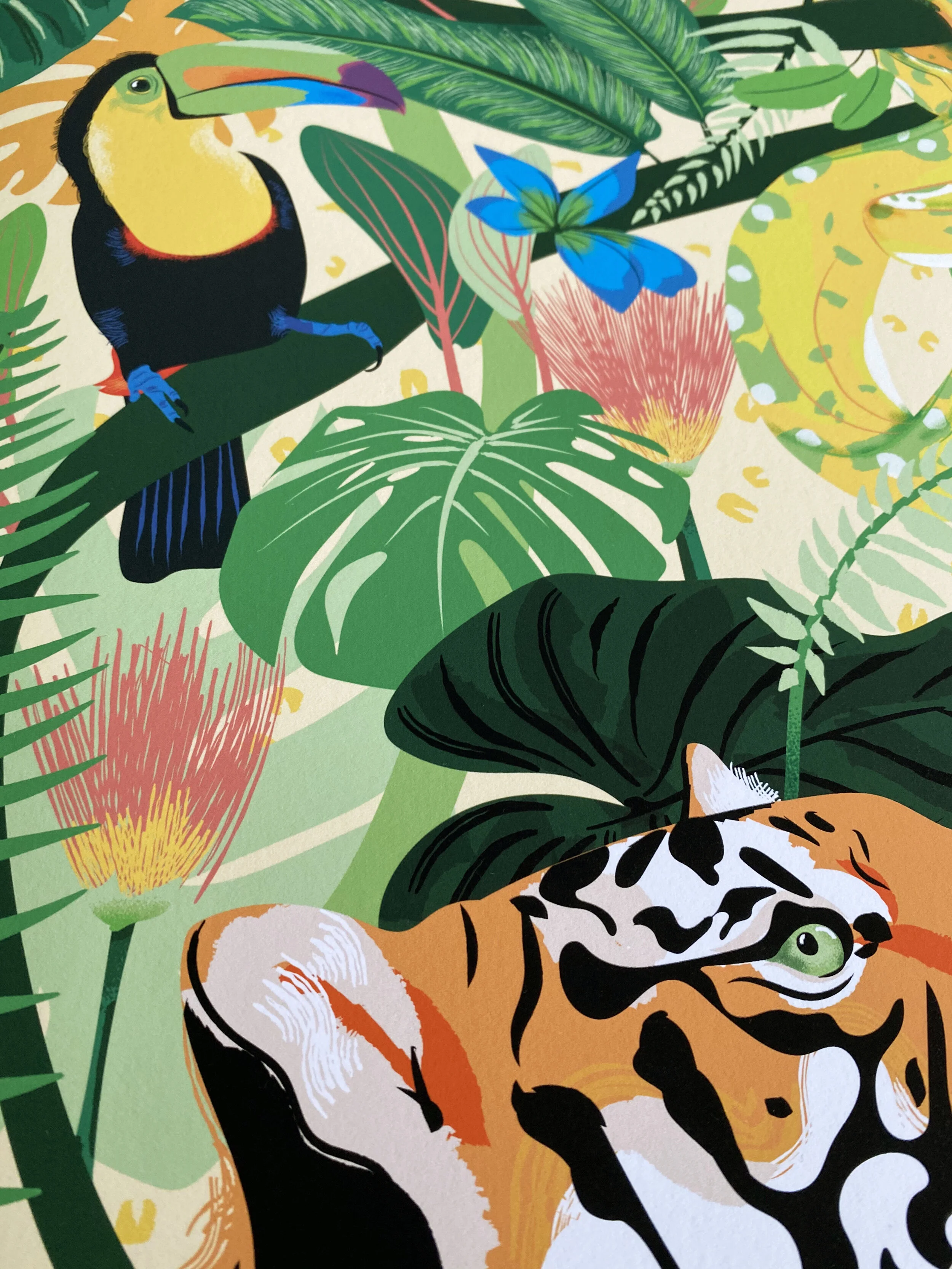 Tiger4.jpg