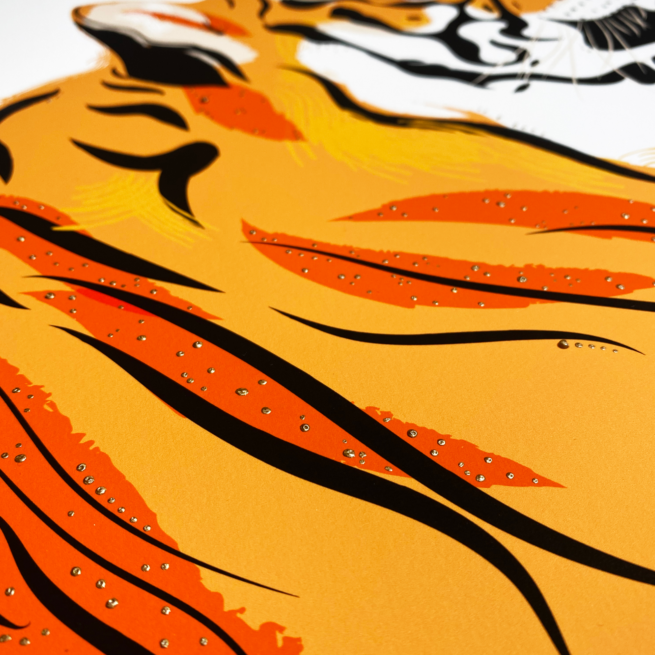 Animals - 1080x1080 - Tiger3.png