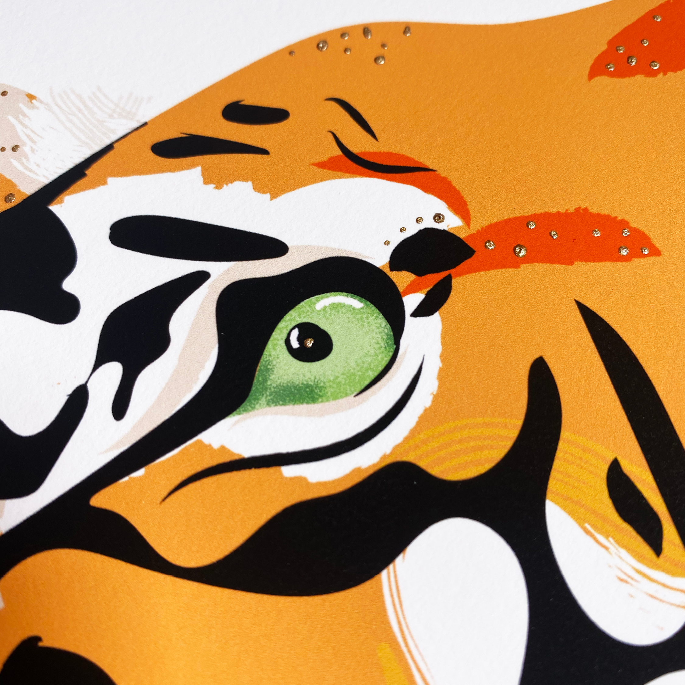 Animals - 1080x1080 - Tiger4.png
