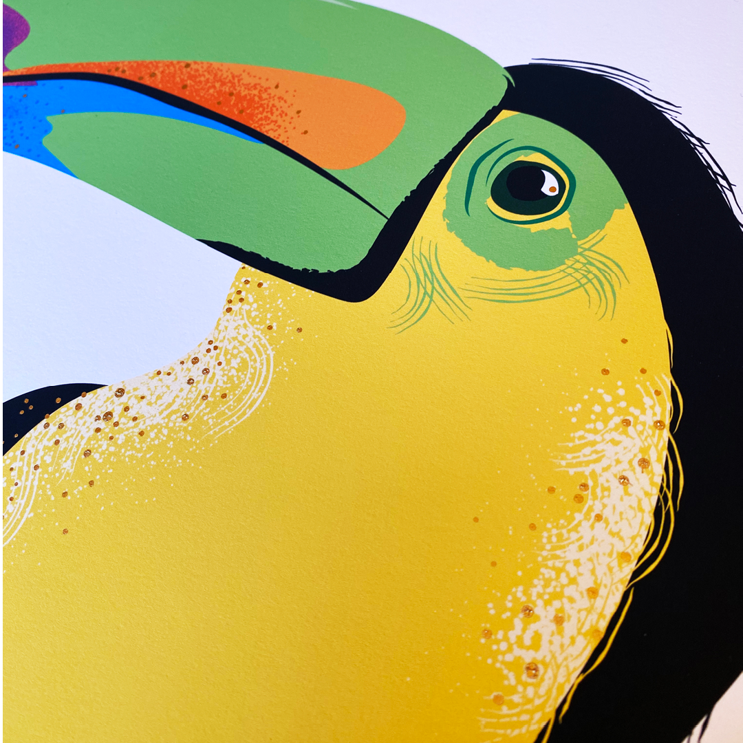 Animals - 1080x1080 - Toucan3.png