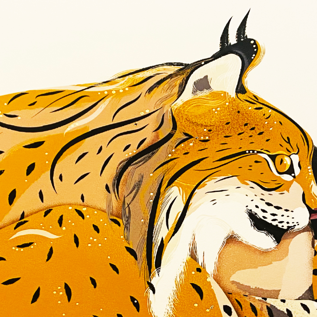 Animals - 1080x1080 - Lynx4.png