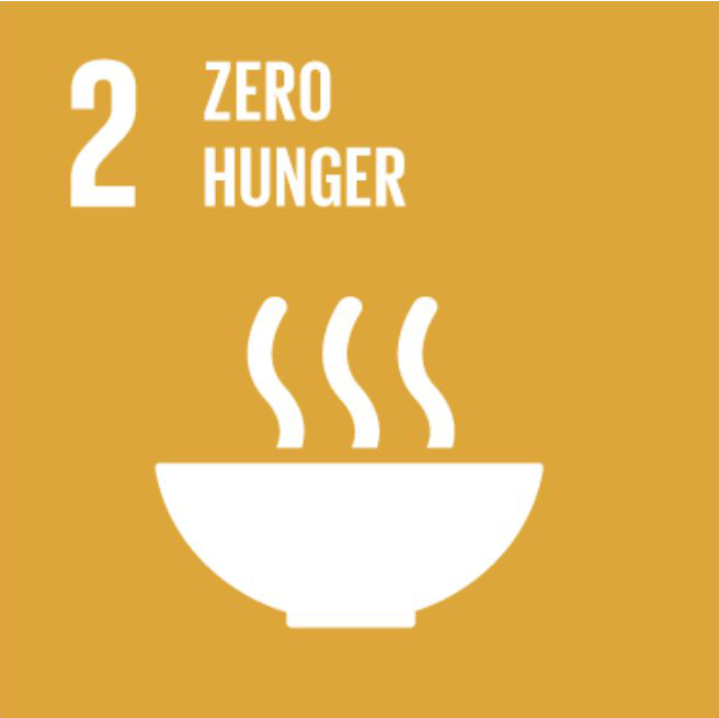 SDG EN 02.png