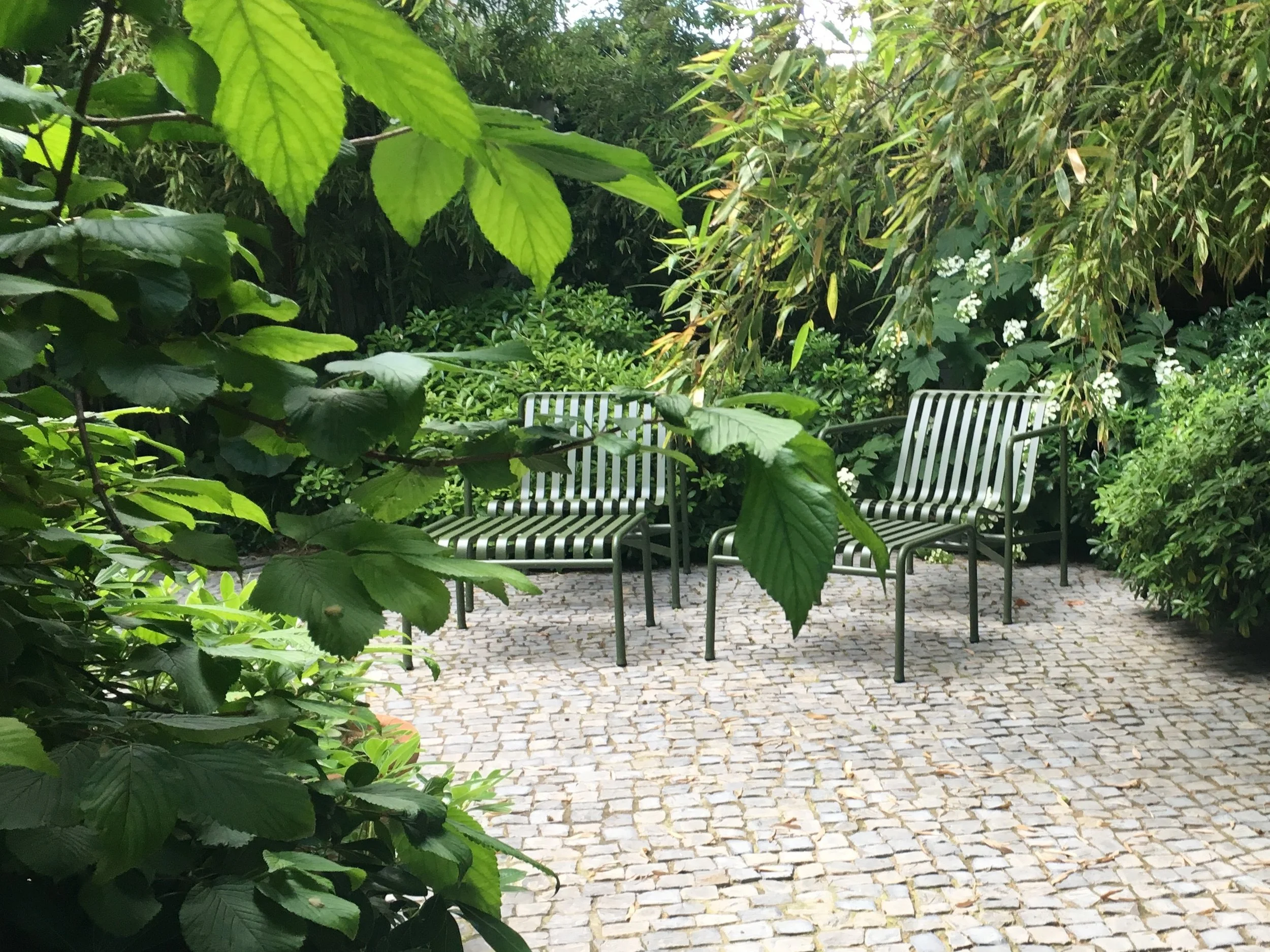 jardin RM.jpg