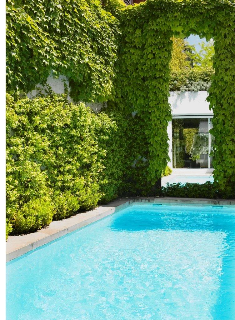 manuel montilla 5.JPG