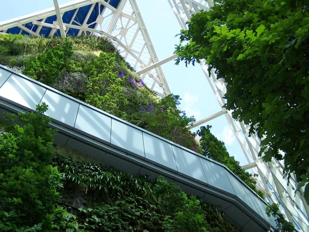 torre cristal1.JPG