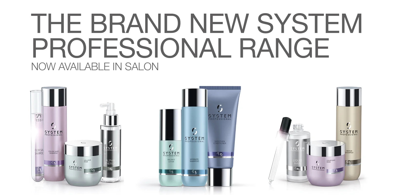 System Professional_Homepage.jpg