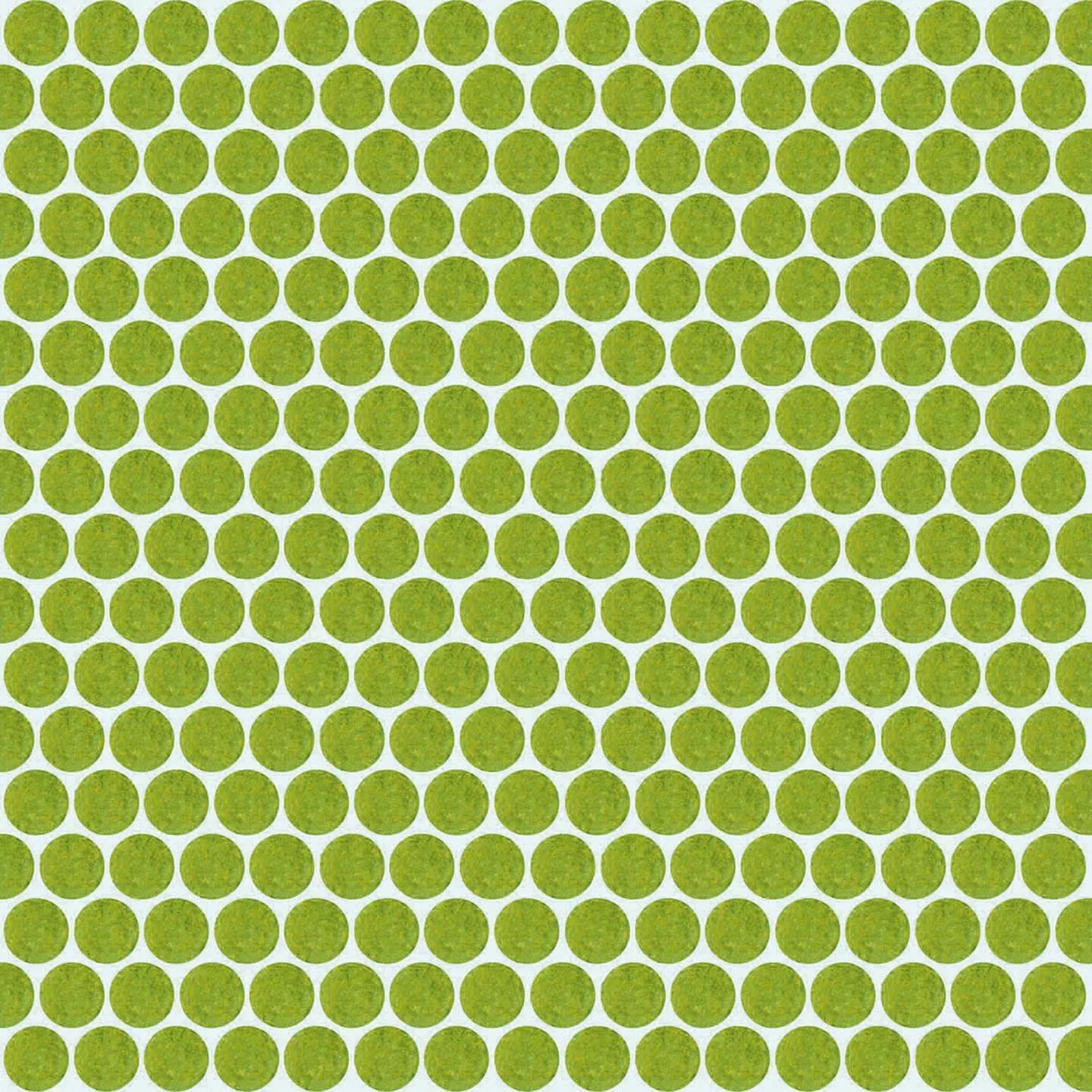 50B1475_panzoom@2x.jpeg
