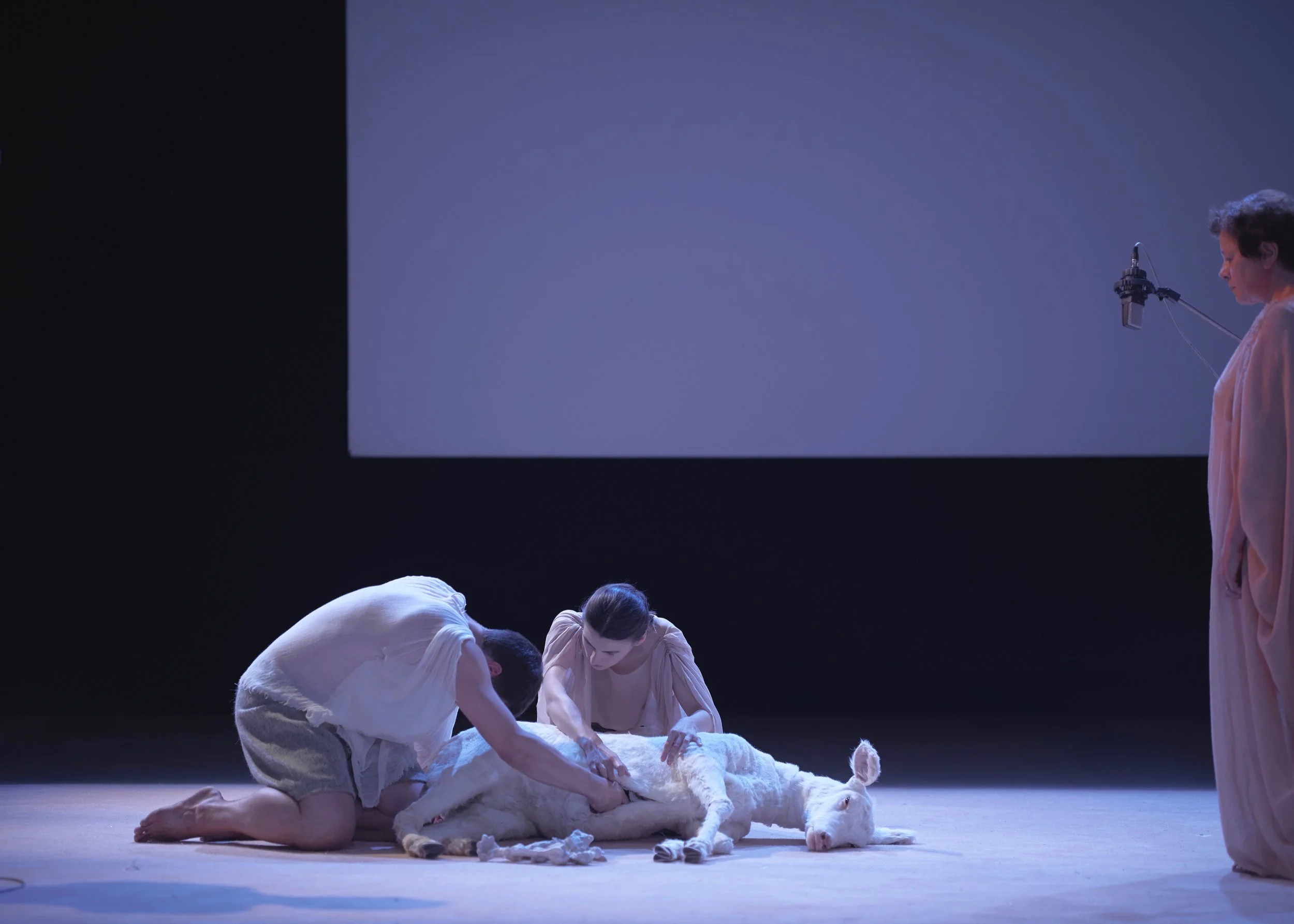 anagoor_orestea_scena_ph_giulio_favotto_006.jpeg