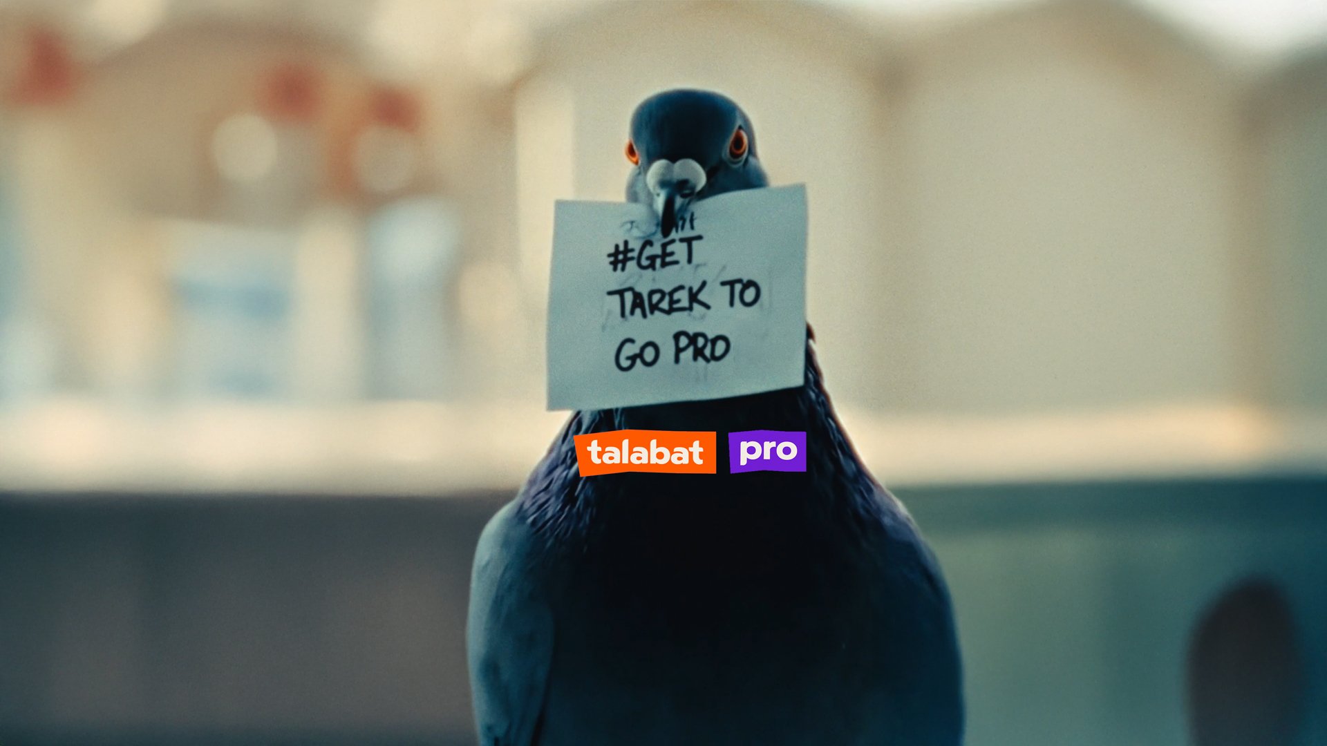 Talabat-YT.jpg