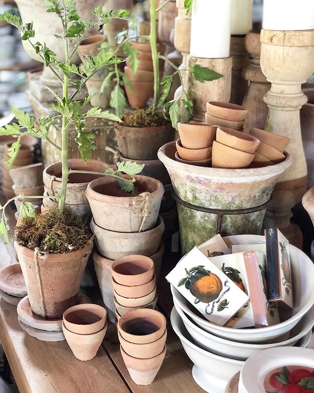 So many new items have trickled in to our shop this week! We have SO many beautiful rustic terra cotta pots that work great both indoors and outdoors. 
We&rsquo;re open Thursday through Sunday Noon til 4pm!