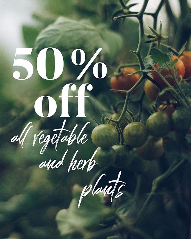 Starting tomorrow, 6/20... 50% off all vegetable and herb plants! #jerseyshorelocal #nj #shopsmall #shopsmallnj #shoplocalnj