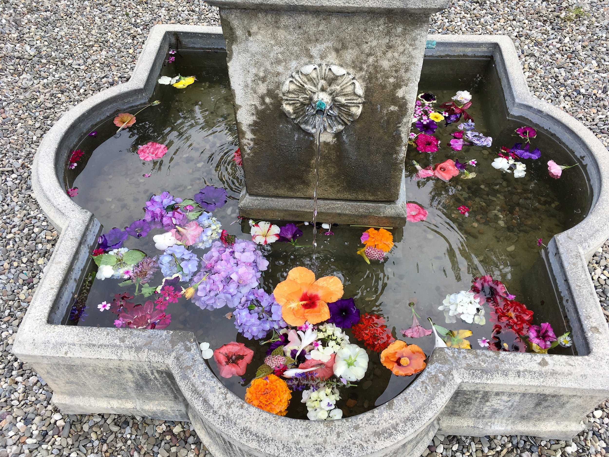 fountain with flowers.JPG