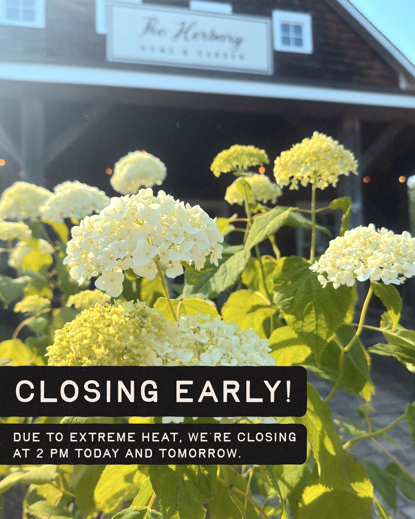 We are closing early Monday and Tuesday! Stay cool everyone.