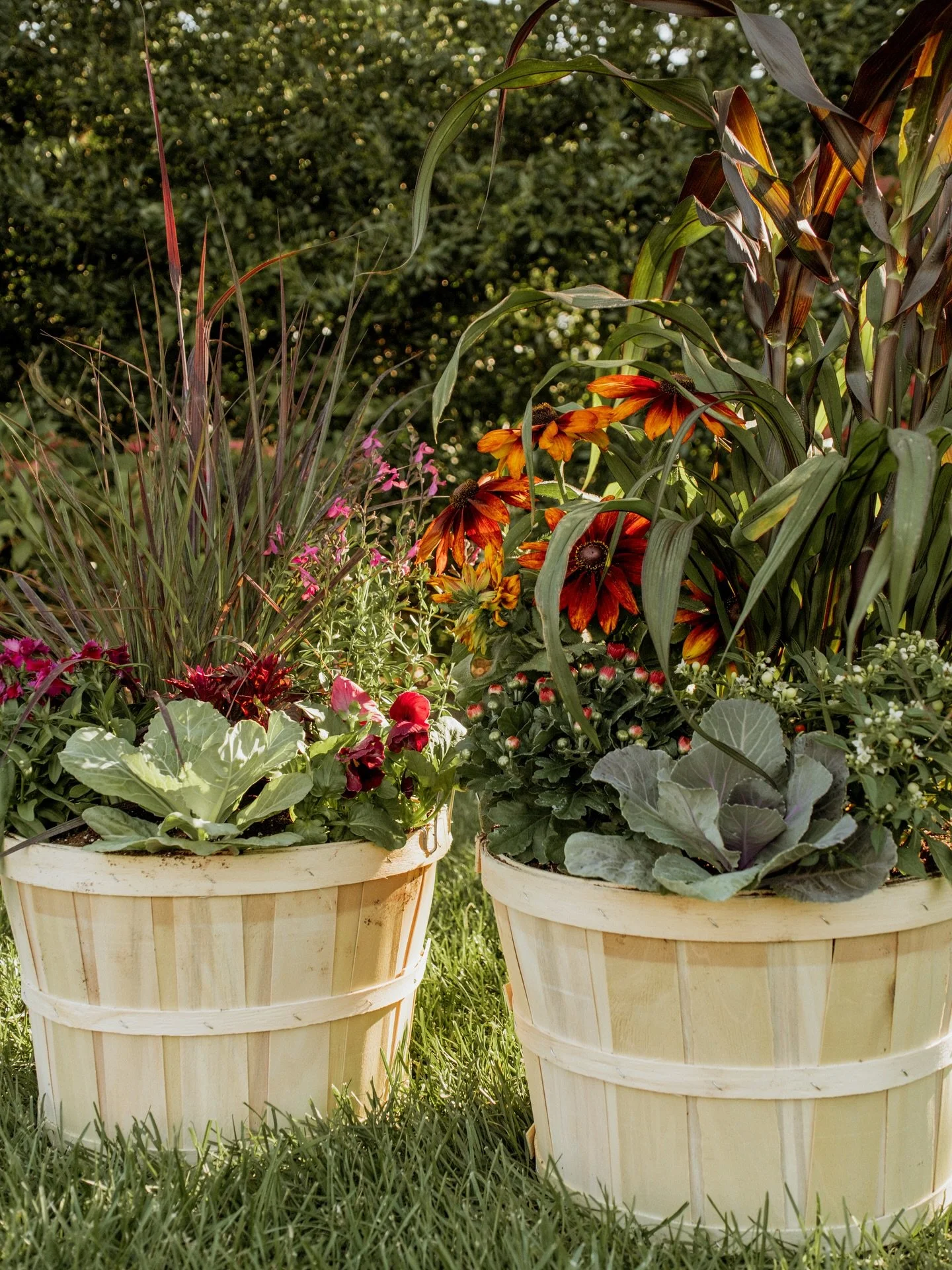 Beautiful arrangements for fall decorating! 🍁