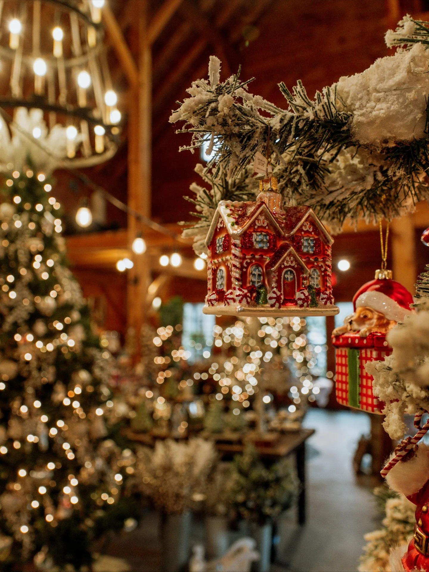 It&rsquo;s magical at The Herbary! Come stop by for all the cozy vibes 🎄🎅