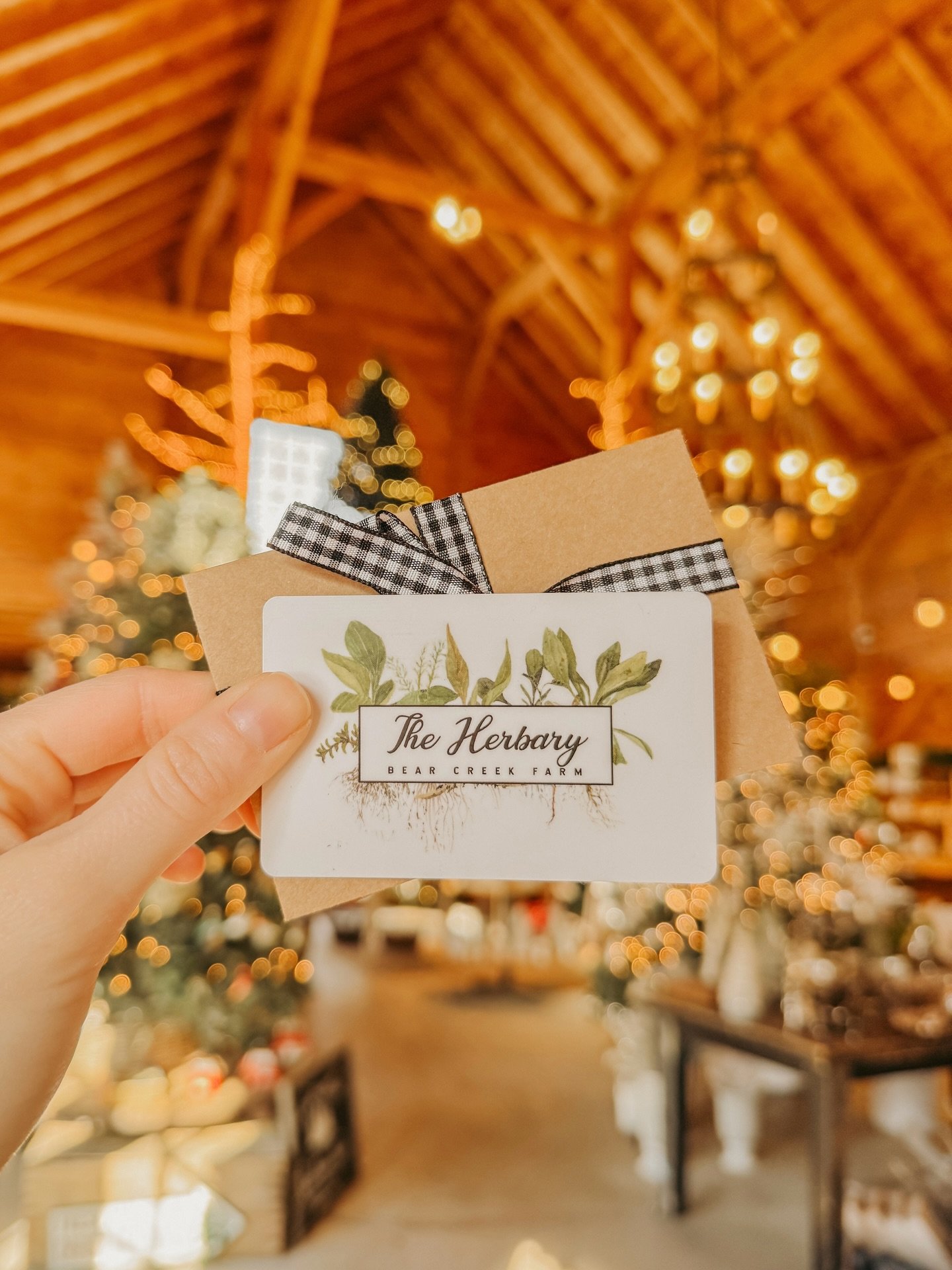 Stuck on a gift idea? We have gift cards! Let them pick a new houseplant, candle scent, decor and more 🎁