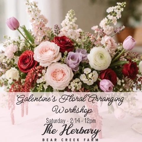 Join @amber.and.earth for a Galentine&rsquo;s floral workshop on February 14! Kick off the new year by gathering your favorite people and celebrating friendship, creativity, and flowers. Tickets are available in our link in bio and on our website 💕