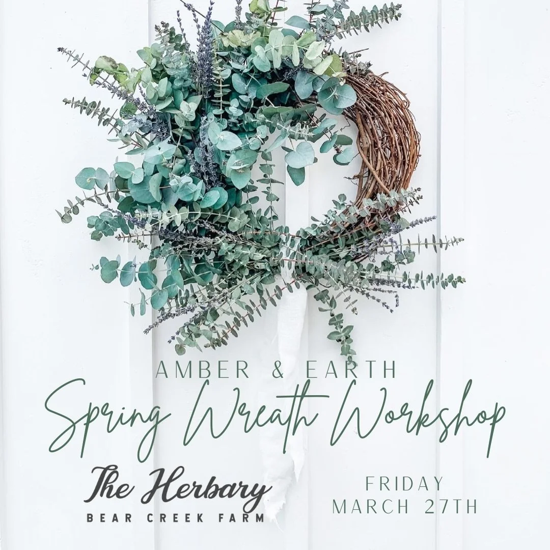Spring is in the air! Join @amber.and.earth at The Herbary for a eucalyptus and lavender spring wreath workshop! Friday, March 27 from 5:30 - 7:00. Tickets can be purchased from our link in bio 🌿