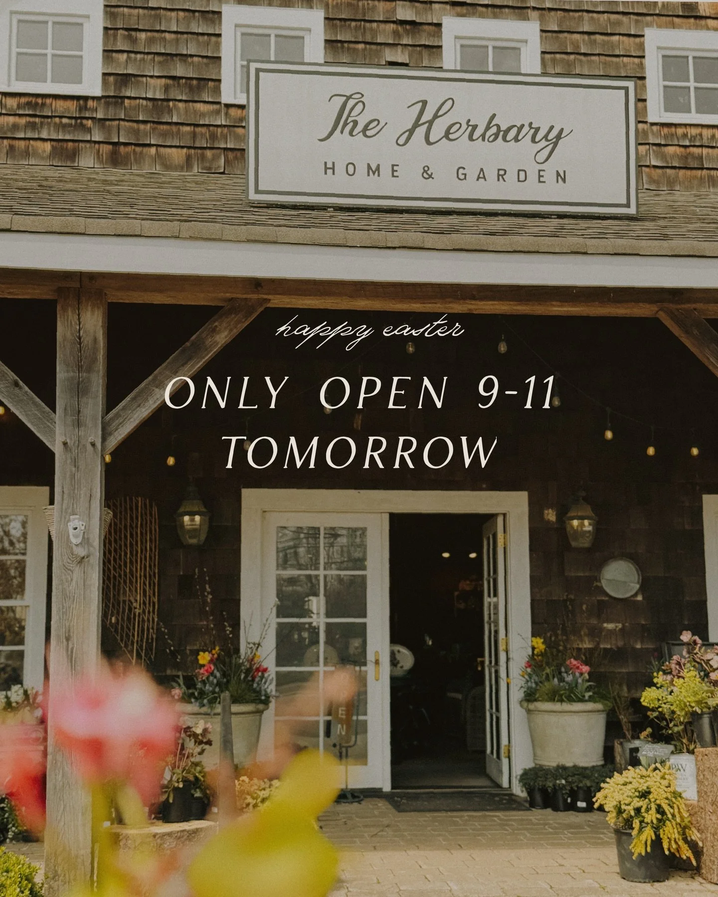 We will be open from 9 to 11 tomorrow for last minute Easter gifts! Easter flower arrangement baskets, bulbs, and pansies on sale 🐣