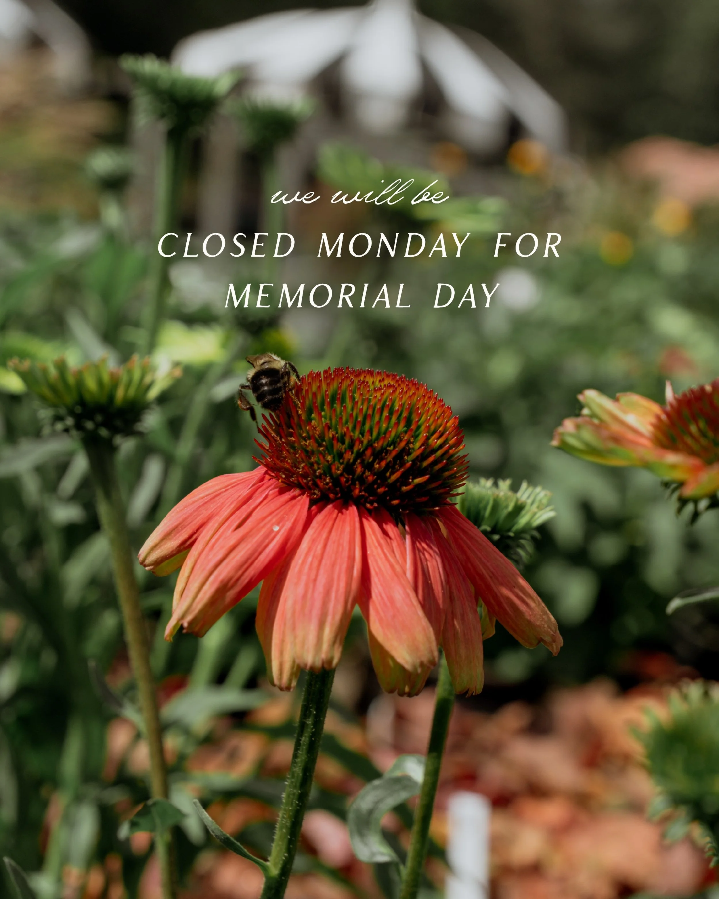 Open today regular hours, but closed tomorrow. Stay dry!