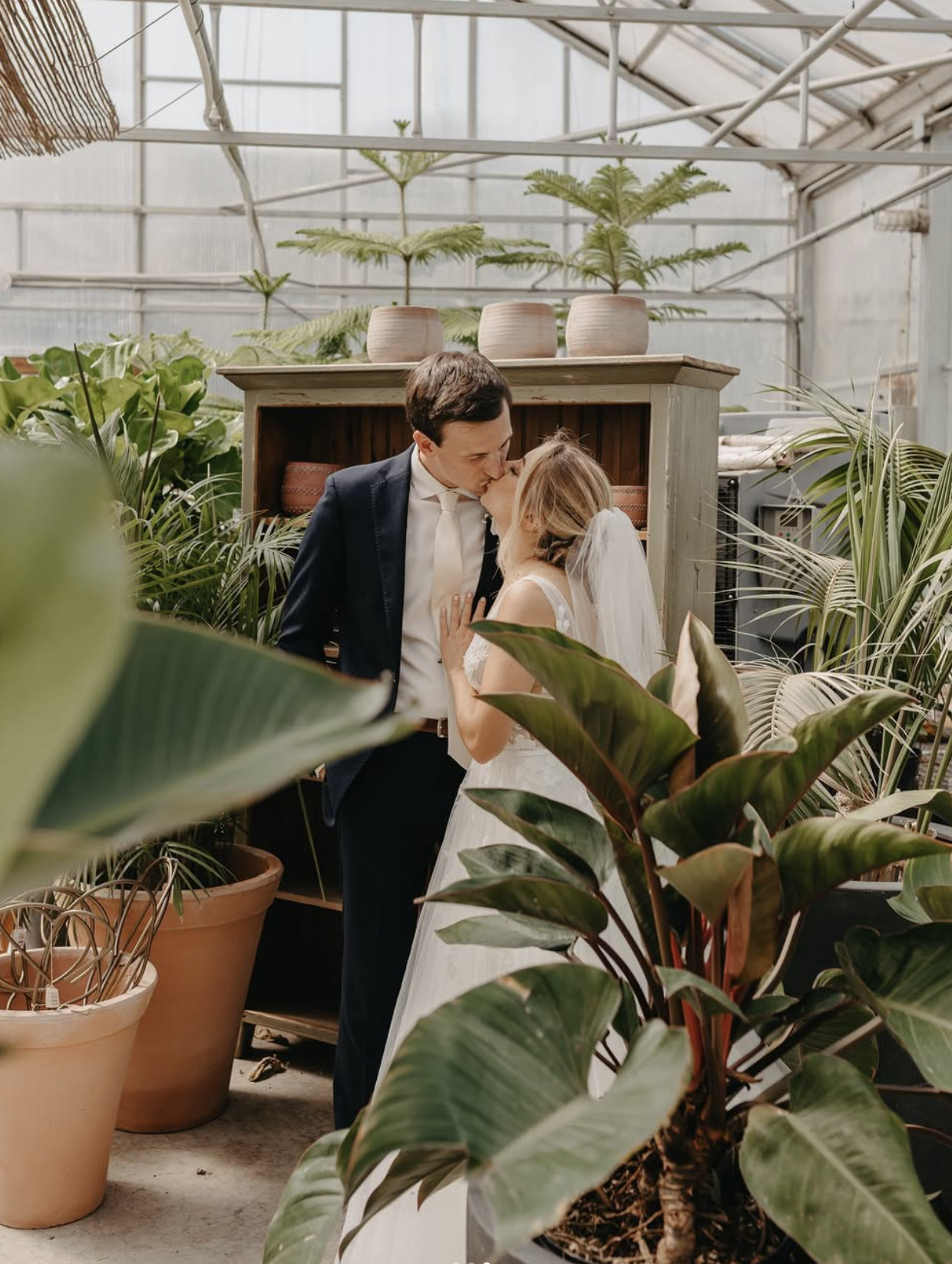 A couple dressed in wedding attire sharing a kiss amidst lush green plants inside a greenhouse.