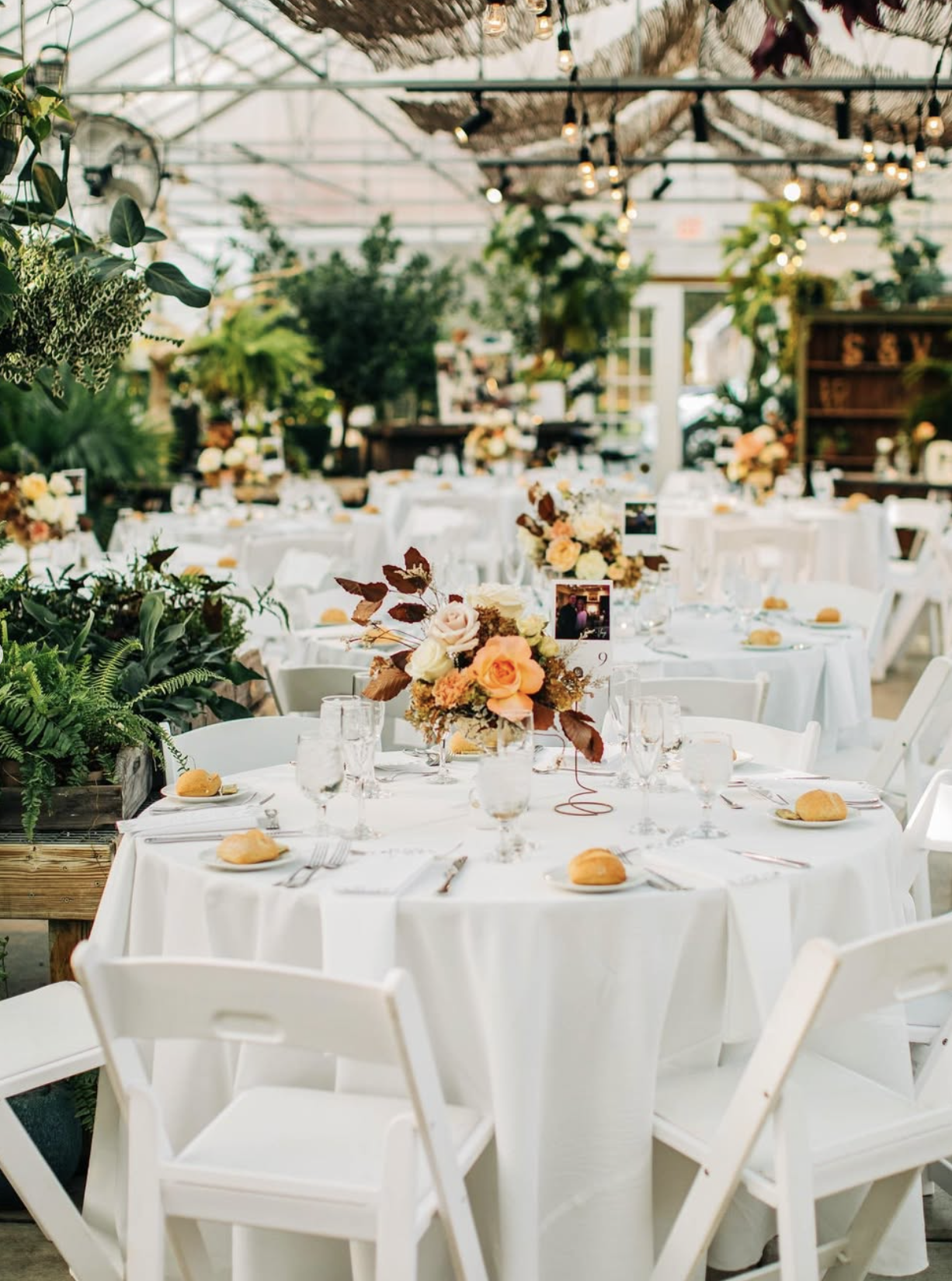 A decorated indoor event space with round tables covered in white tablecloths, set with glassware, cutlery, small bread rolls, and floral centerpieces in peach, pink, and cream colors. The space has hanging lights, greenery, and a glass ceiling with 