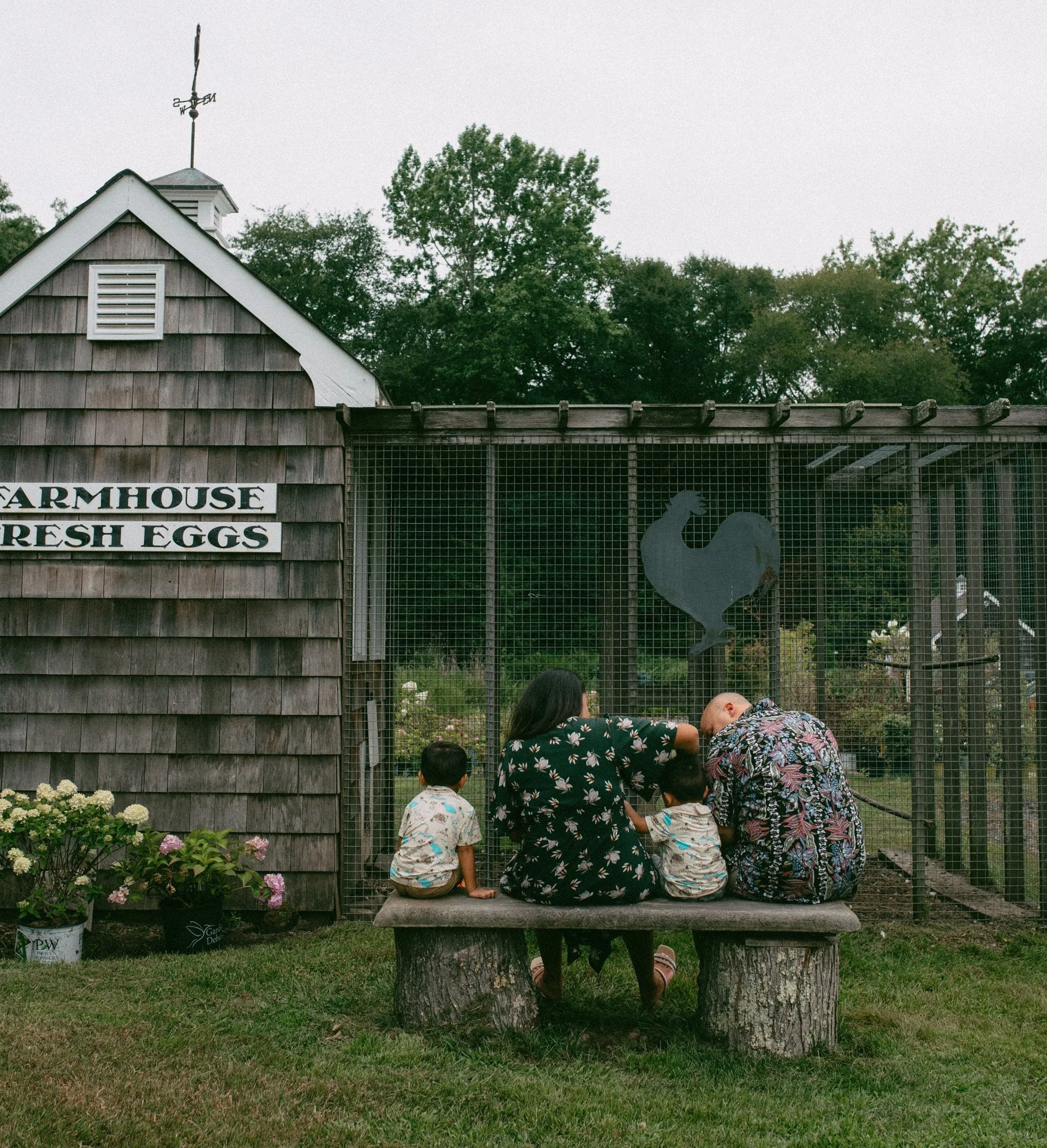 A family of four sitting on a wooden bench in front of a chicken enclosure behind a farm building. The family appears to be looking at the chickens inside the enclosure.