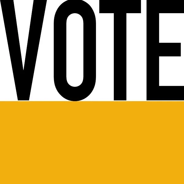 Make a plan to vote Tuesday November 5th, please check out what local elections are on the ballot this year.
It could be treasurer, sheriff, school board, board of supervisors, city council, commissioner of revenue, soil and water, Commonwealth&rsquo;s Attorney and Clerk of Court.