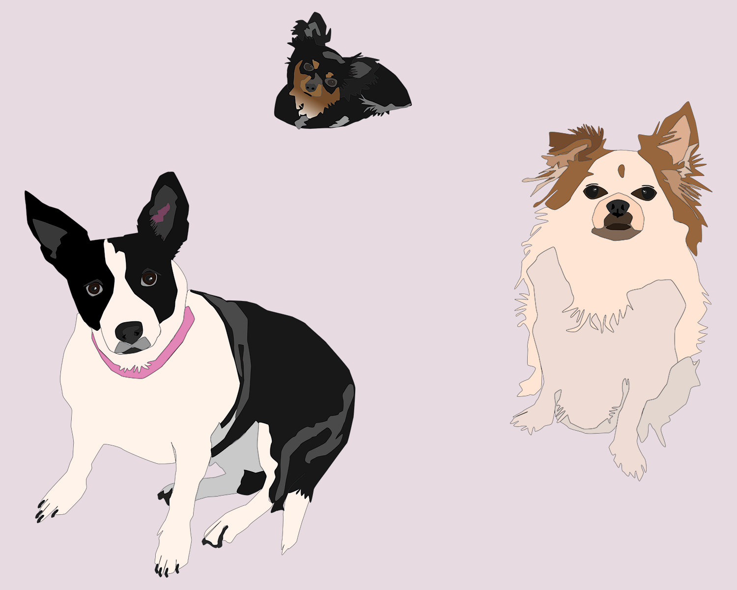 DOGSai.png