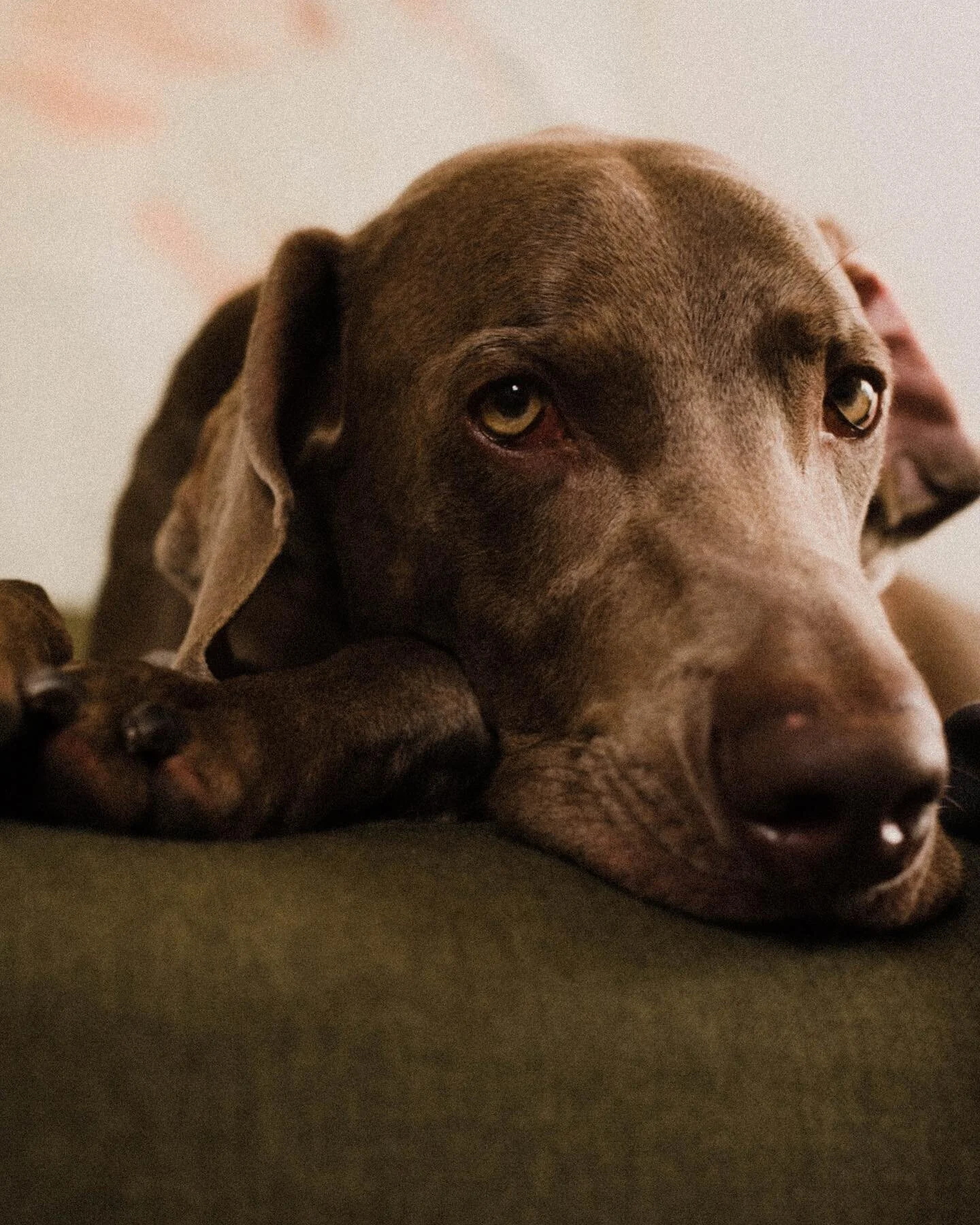 Afternoon nap time: a series✨