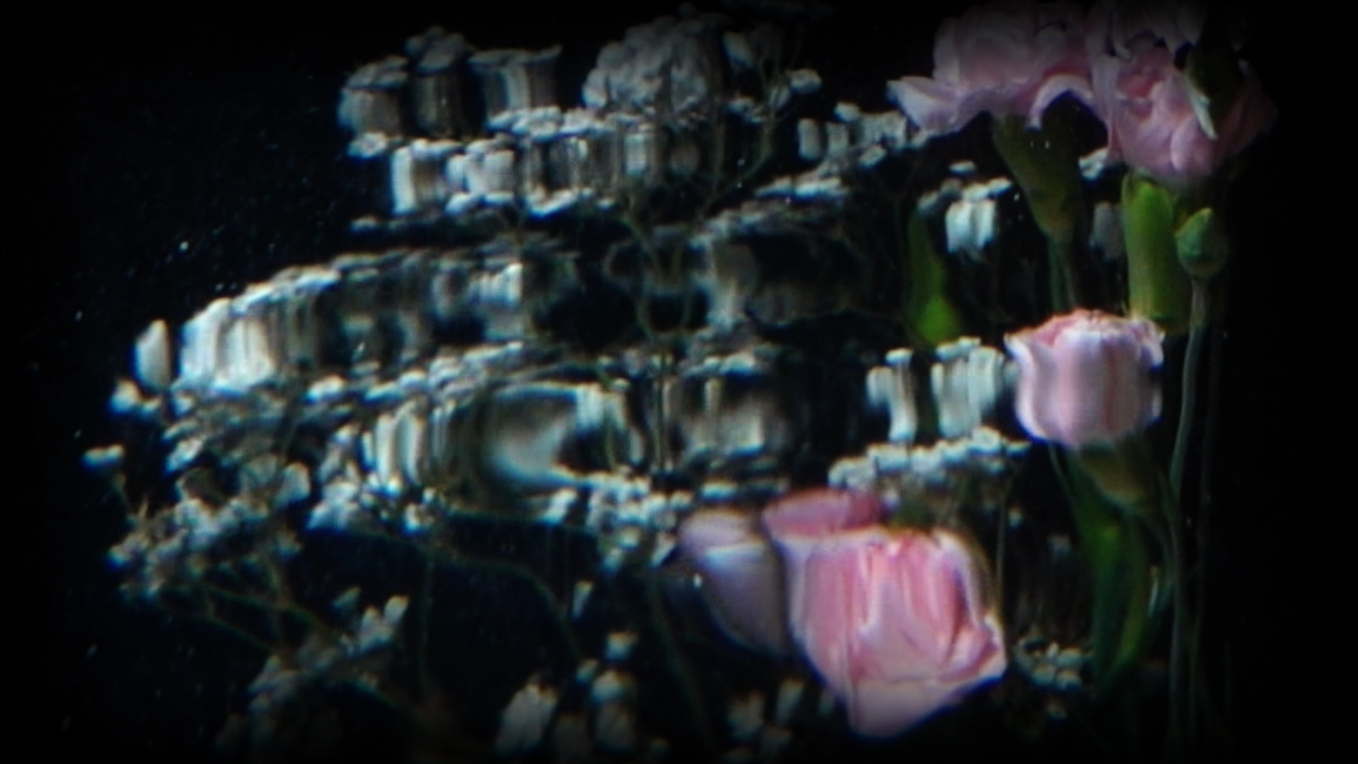 flower_reflection_00161.png