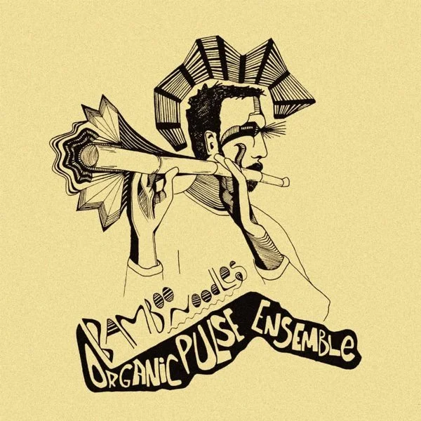 Organic Pulse Ensemble - Bamboo Noodles