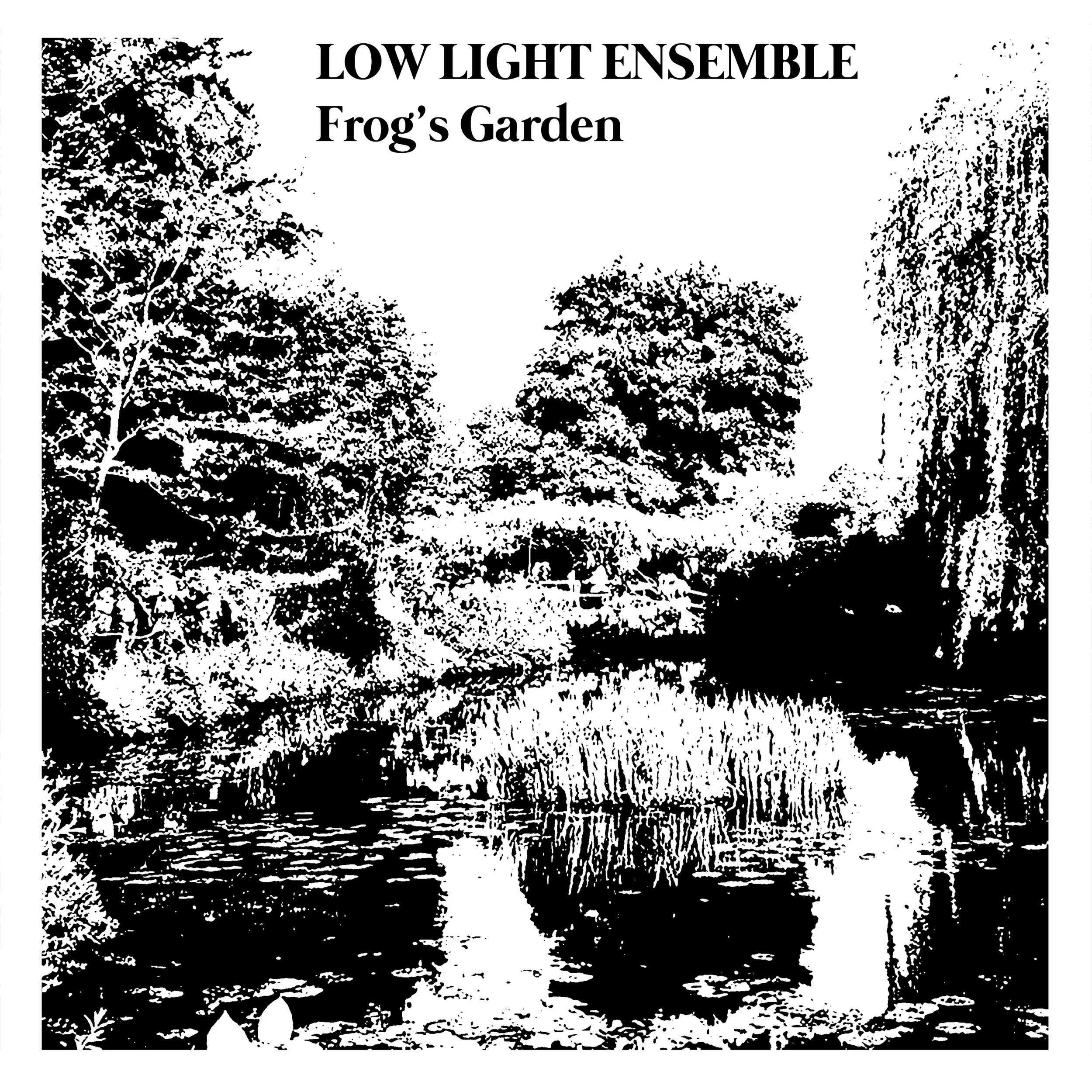 Low Light Ensemble - Frog's Garden