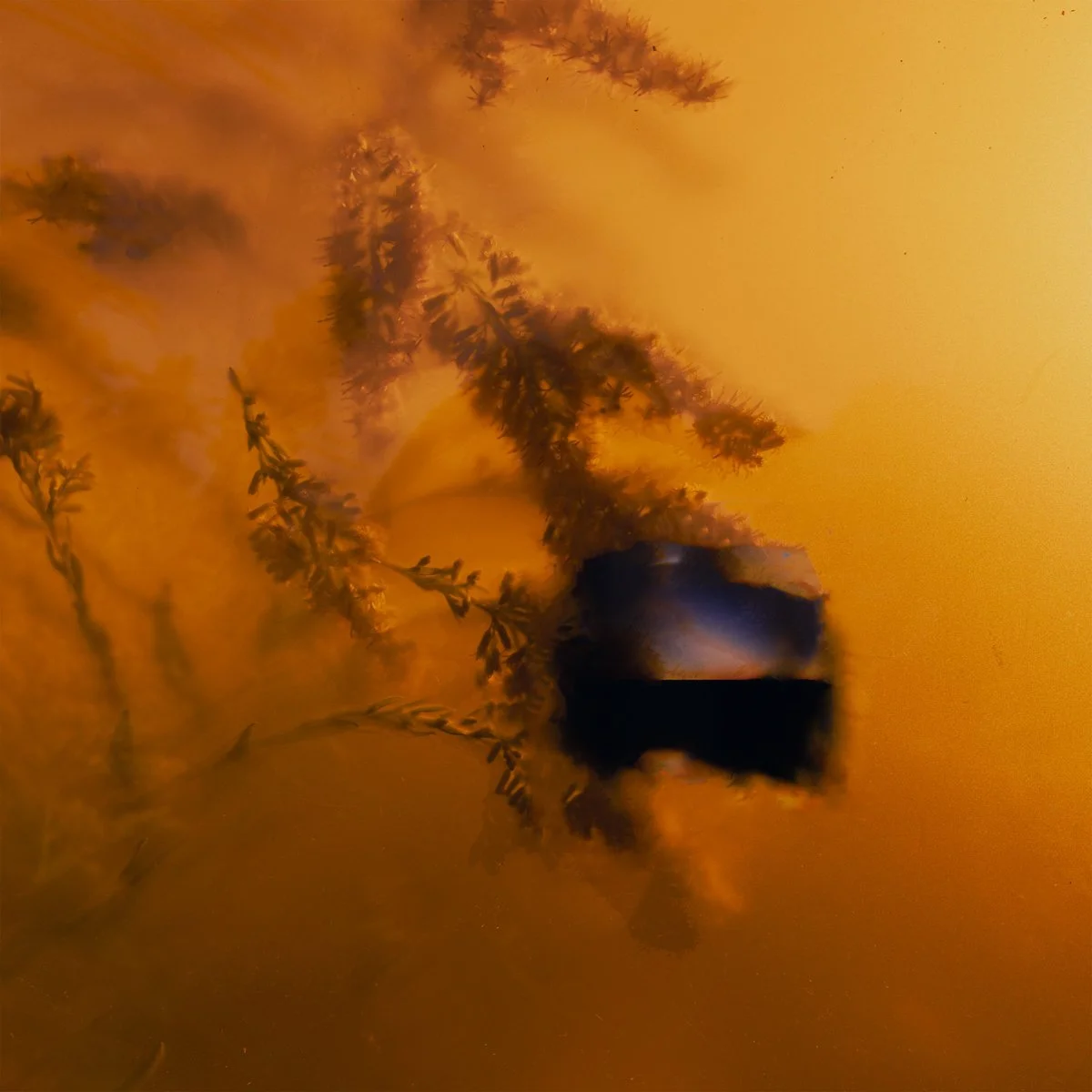 Ulla & Ultrafrog - It Means A Lot