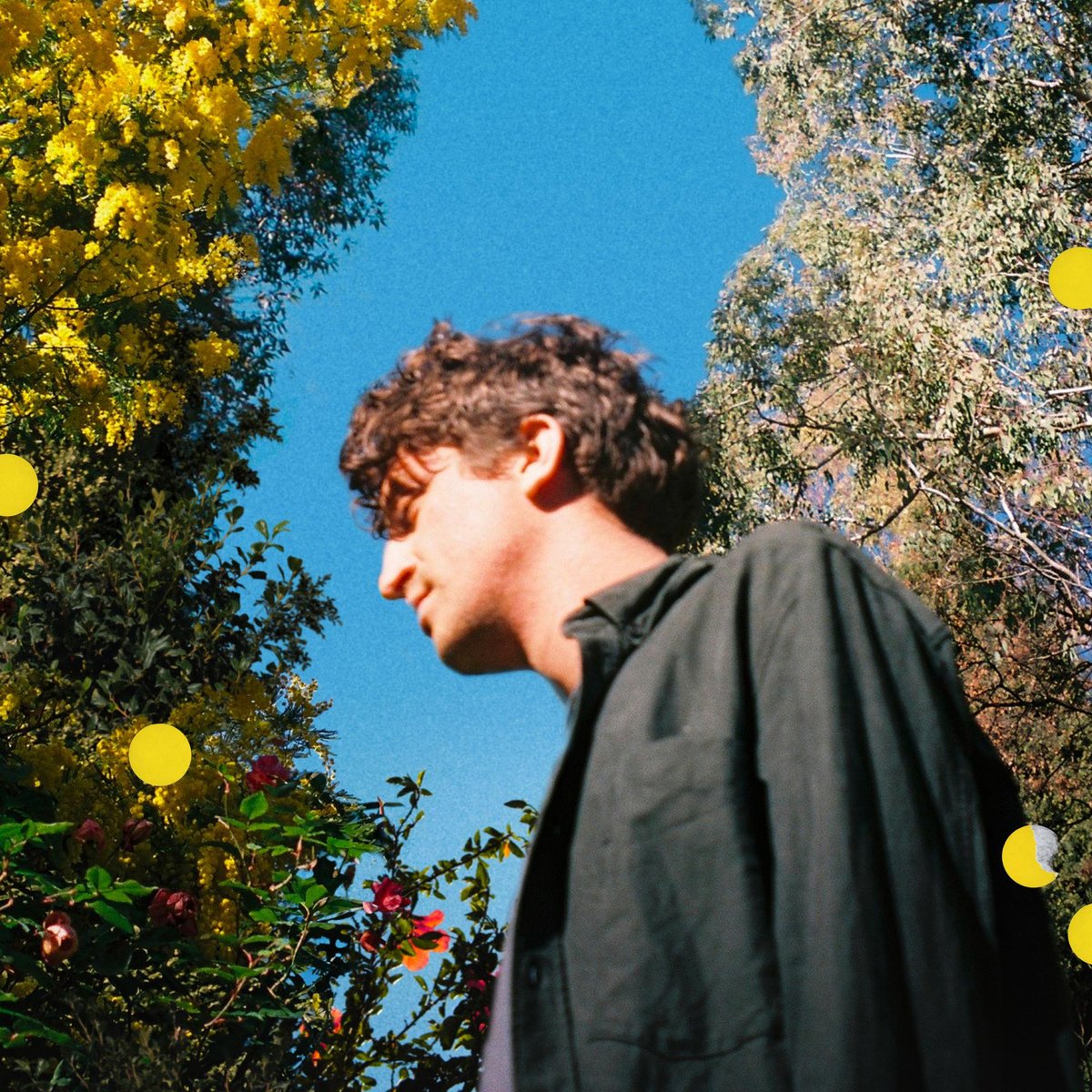 Parra for Cuva - Mimose