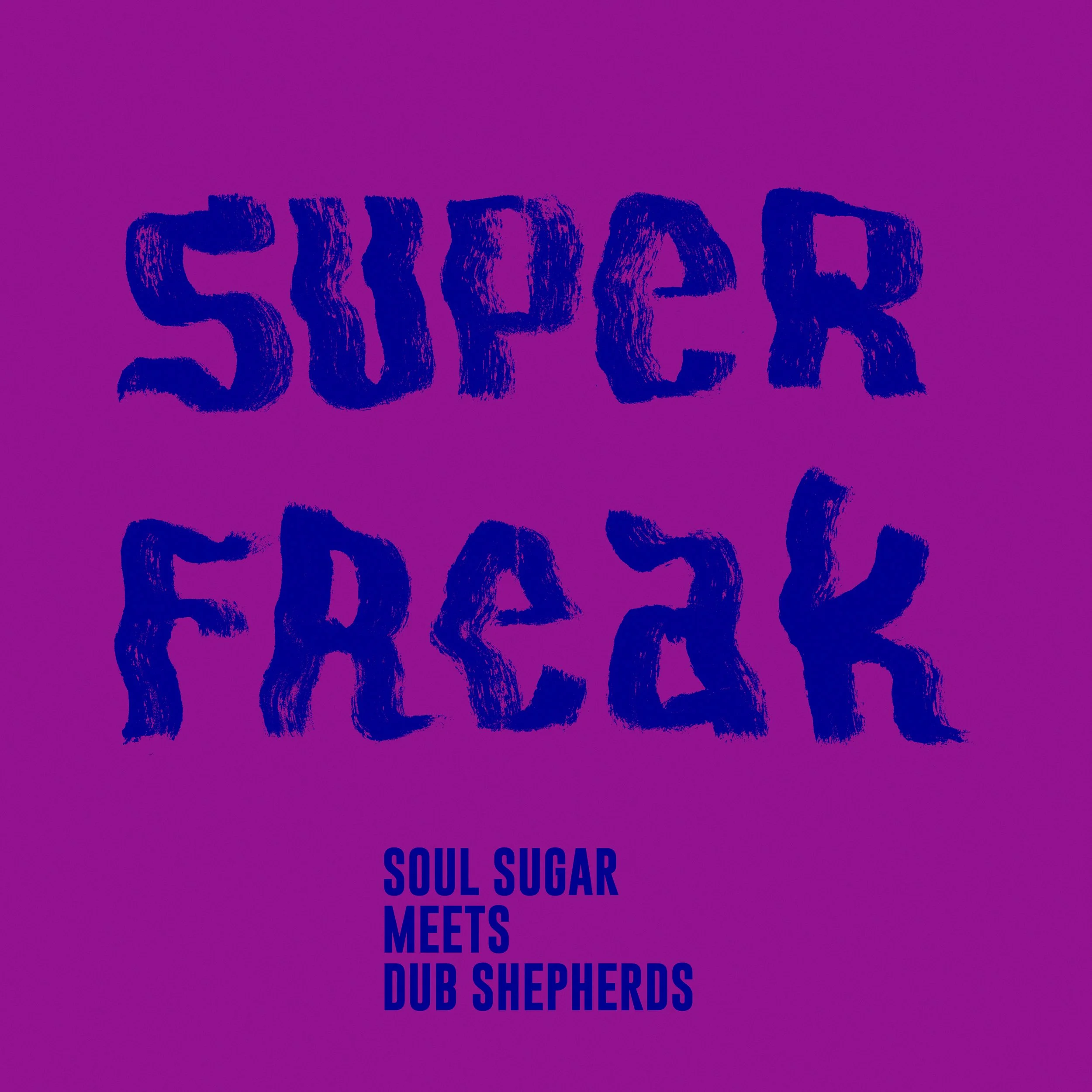 Soul Sugar meets Dub Shepherds - Super Freak